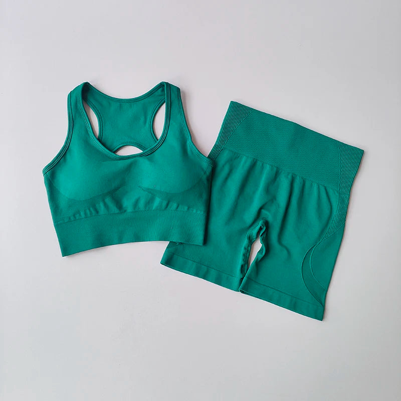 Conjunto de Ioga Feminino Sem Costura — 2 peças (Top Sexy + Shorts de Cintura Alta)